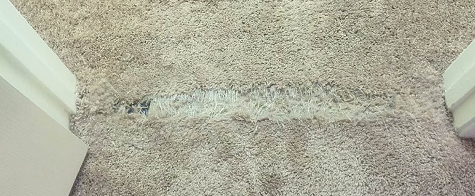 Carpet Repair Services