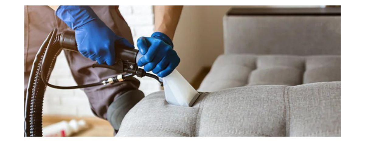 Couch Cleaning Services